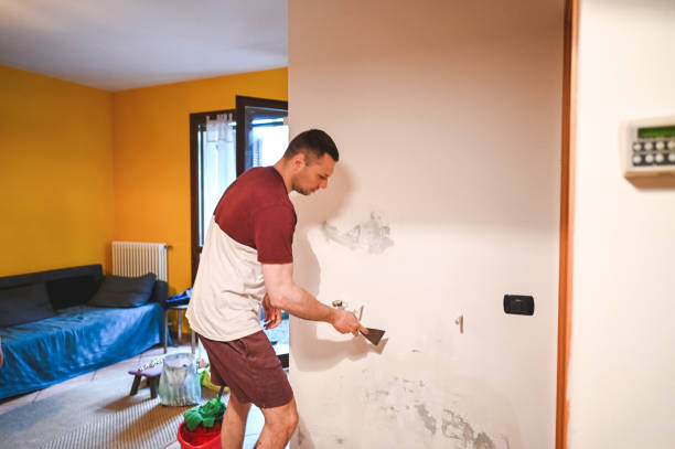 Professional Mold Remediation in Valley Mills, TX